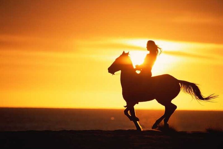 Agadir/Taghazout: Beach Horseback Riding Experience