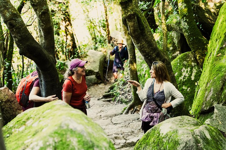 Hike in Sintra: Pena Palace, Moorish Castle, Quinta da Regaleira