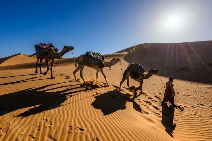 3 Days Desert Tour to Fes from Marrakech