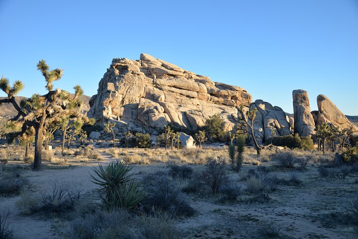 2-Day Private Tour to Joshua Tree National Park from Los Angeles
