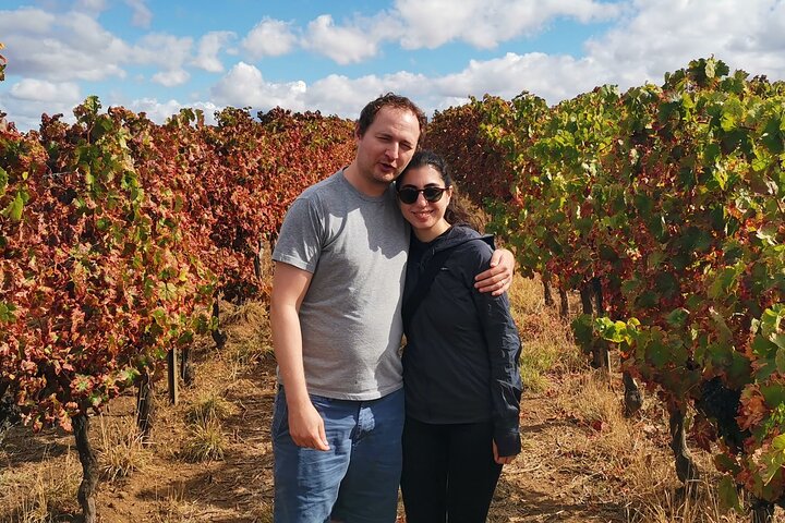 From Lisbon to Évora: Cork factory and Winery in Half Day