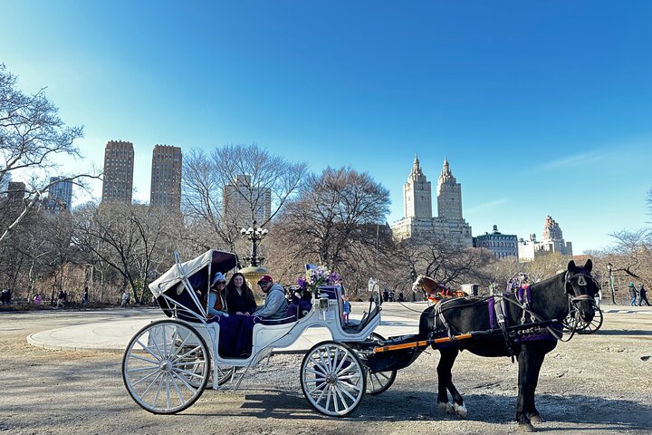 Unforgettable Luxury Horse and Carriage Tours in Central Park