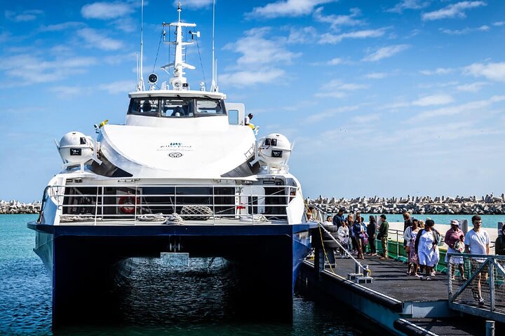 Robben Island Tour with Museum and Ferry Tickets