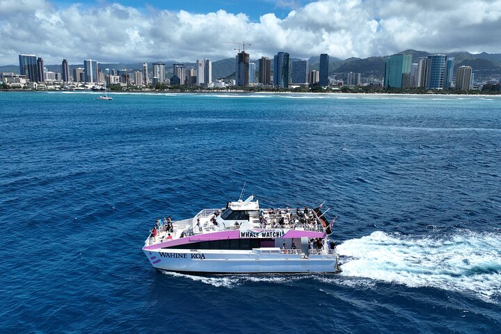 Waikiki Sunset Whale Watching Cruise: Guaranteed Whale Sightings