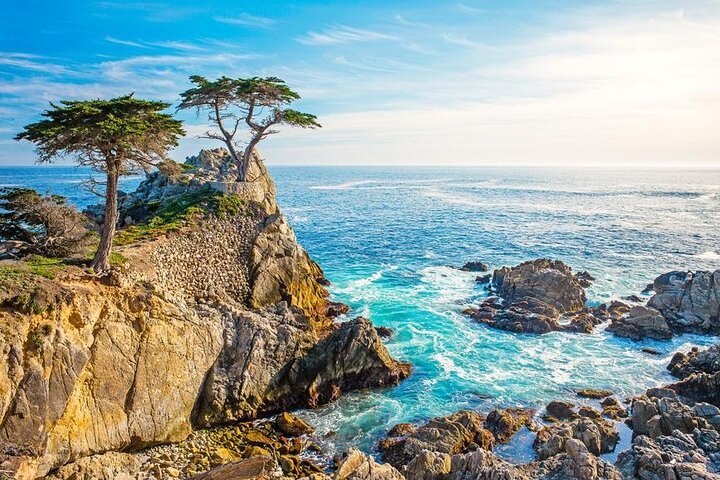 17 Mile and Pebble Beach Tour from Los Angeles to San Francisco