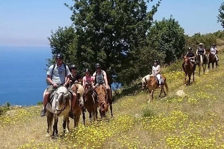 3 Hours Horse Back Riding in Alanya