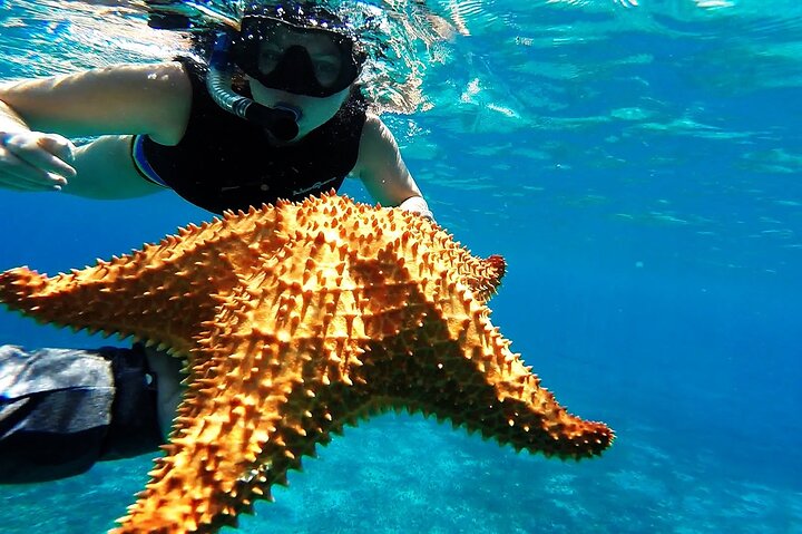 Speed Boat with Snorkeling Adventure of Cancun