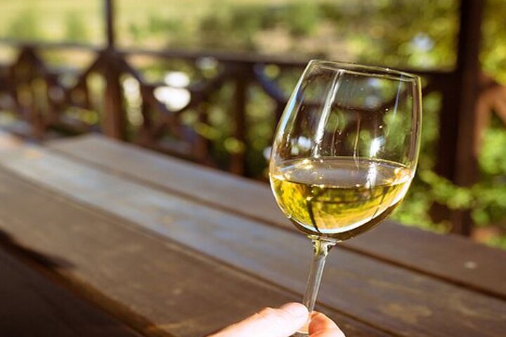 8 Hours Private Wine Tasting Tour in Stellenbosch to Franchhoek
