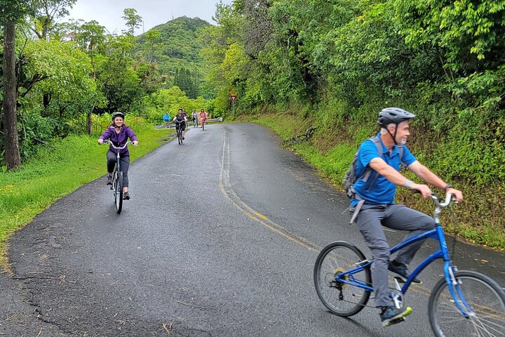 Downhill Bike and Ko'olau Waterfall Hike Tour