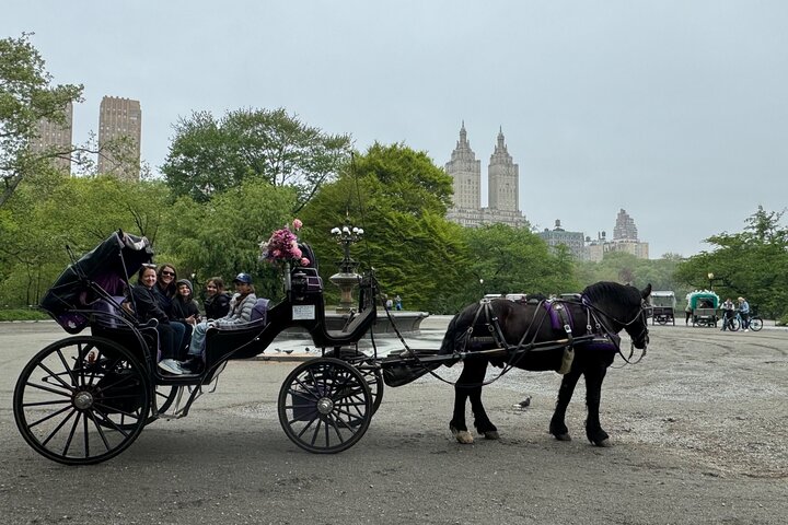 NYC Empire State Horses Carriage Ride in Central Park(55 Mins)