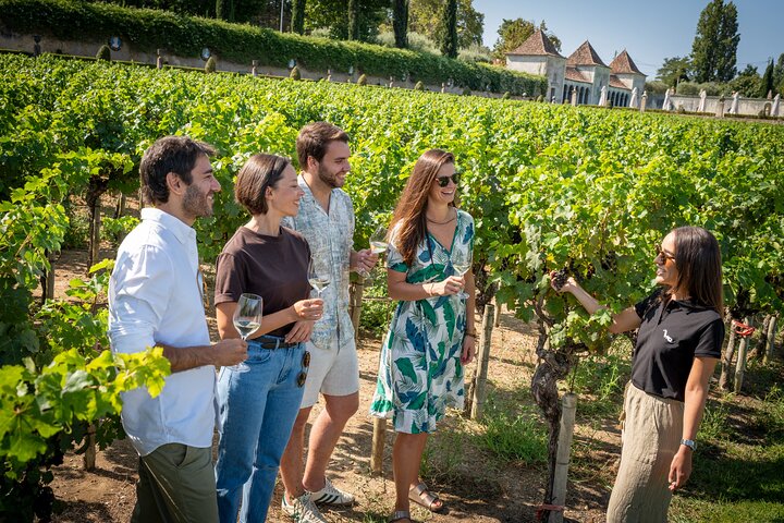 Setúbal: Winery & Fish Market Tasting Tour from Lisbon