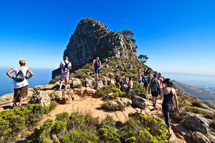 Private Cape Town Lion's Head Sunrise and Sunset Hike