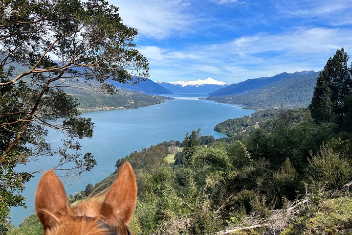 PRIVATE-Esperanza Valley Horse ride.