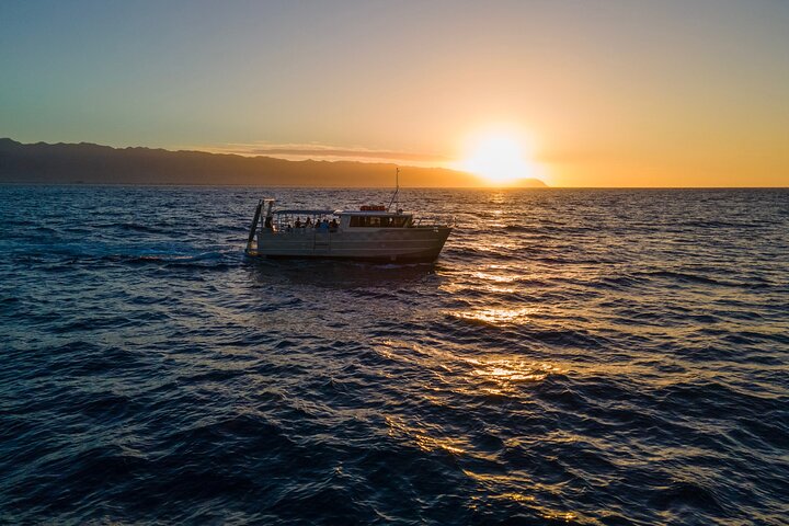 Whale Watching on "The World Famous North Shore of Oahu", Hawaii