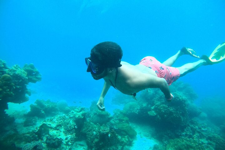 Phi Phi & Khai Islands Speedboat Tour from Phuket with Snorkeling