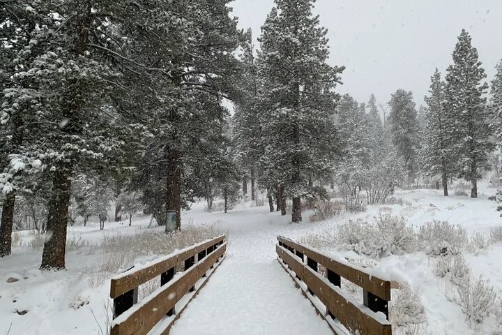 Ultimate Snowplay Adventure at Mount Charleston