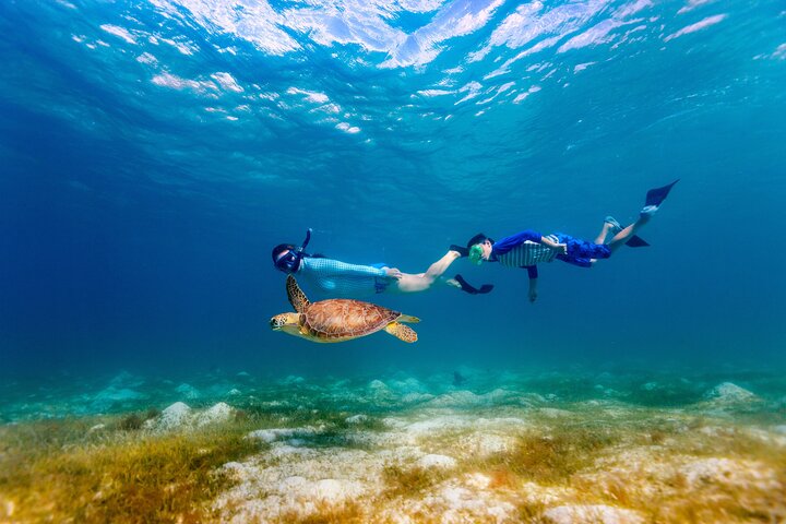 Turtle Canyon Snorkel Adventure - Small Group 6 Passengers