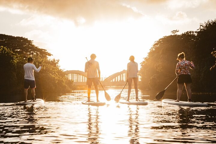 Sunset Stand Up Paddle with Photos and Turtles