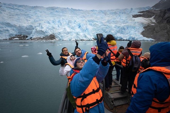 Whale Watching and Glaciers Punta Arenas Full Day Boat Tour