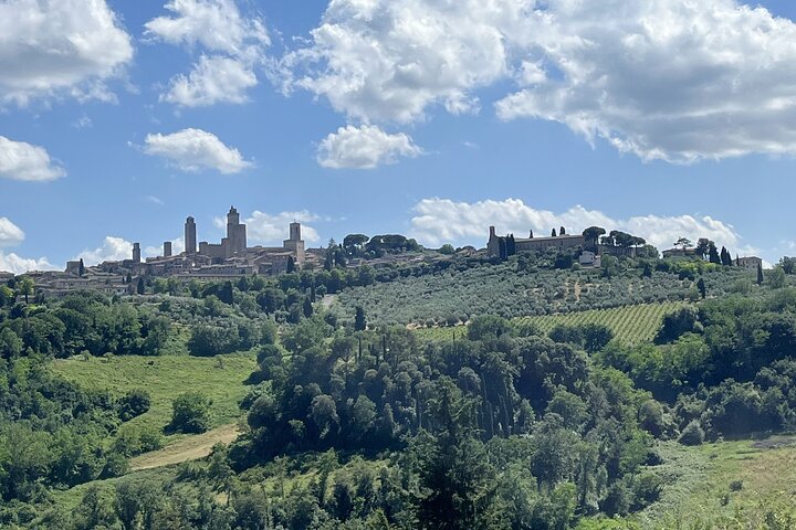 San Gimignano + Lunch&Wine private tour by van from Lucca or Pisa