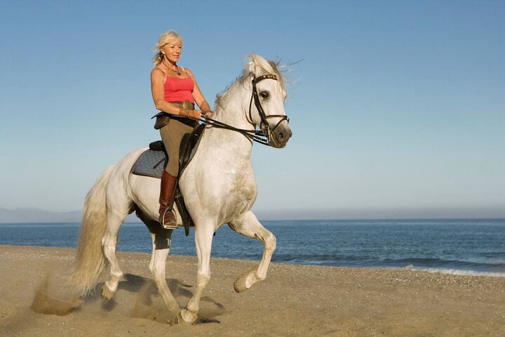 Casablanca Beach Horseback Riding Experience with Hotel Transfers