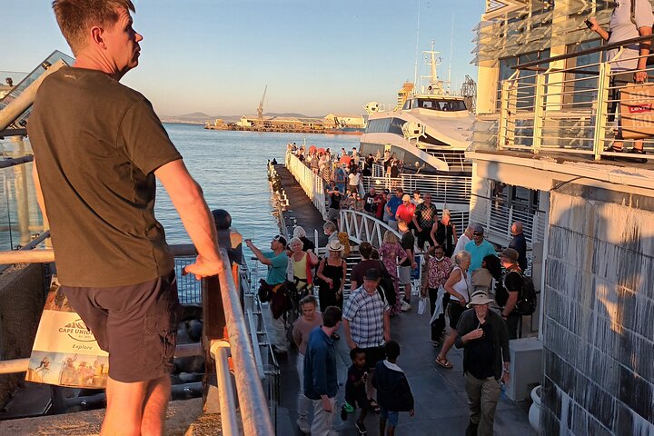 Robben Island Half Day Tour : Experience History and Freedom