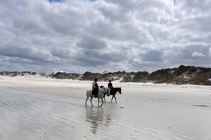 Beach Horse Ride in Yzerfontein, Western Cape