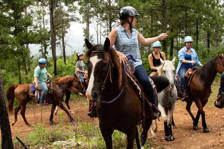 Scenic Horseback Riding Adventure Through the Atlas Mountain