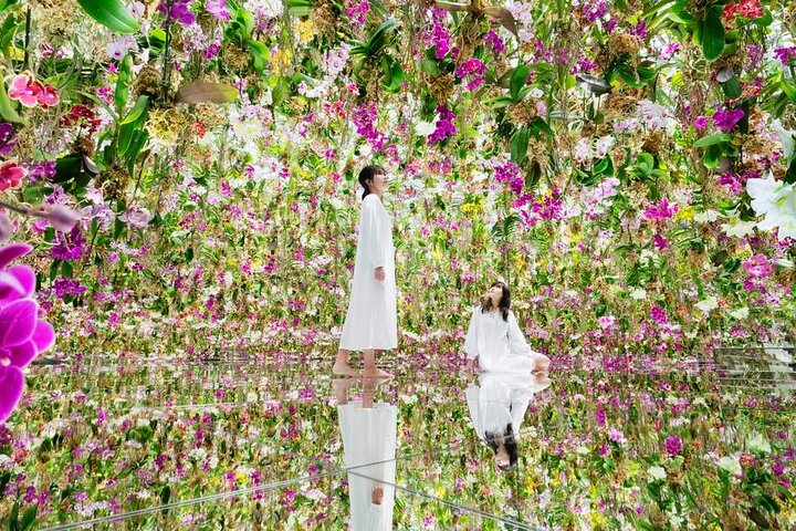 TeamLab SuperNature Macao Admission Ticket