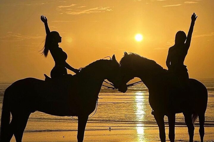 Sunset Horse Ride Experience in Essaouira
