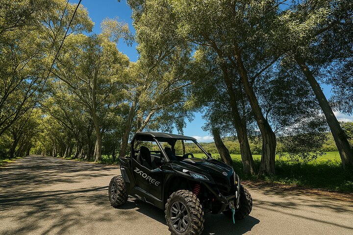 Buggy Safari From Georgioupolis Area