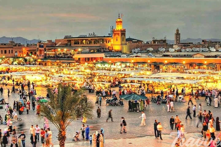 Discover Marrakech: City Highlights Half-Day Private Tour