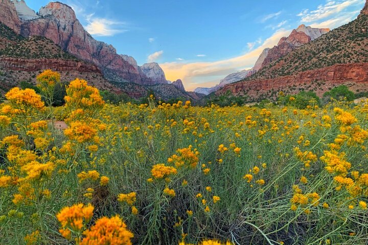 2 Day: Grand Canyon, Antelope Canyon, Horseshoe Bend, Zion Tour