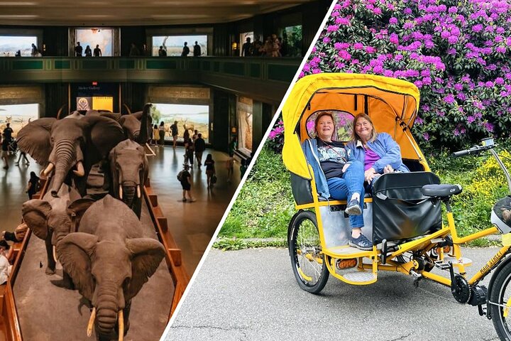 Central Park Pedicab Tour with Natural History Museum Access