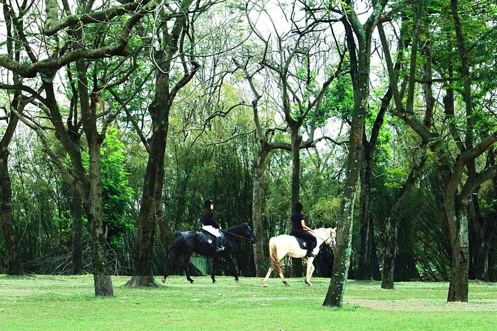 Hanoi Horseback Riding Club & Tours - Exclusive Experience