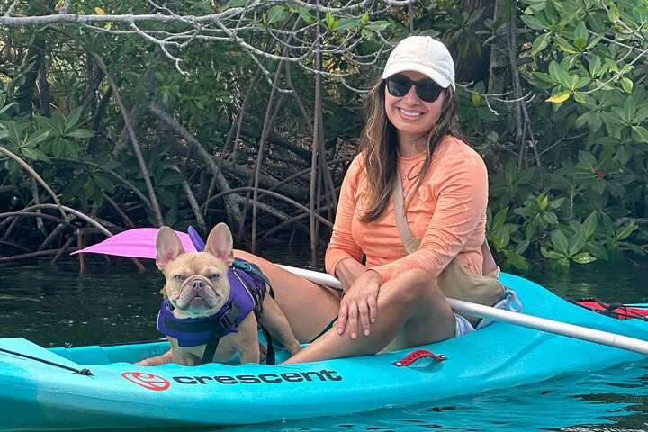 2 HR Key West Clear Kayak Rental – Discover Mangroves & Wildlife!