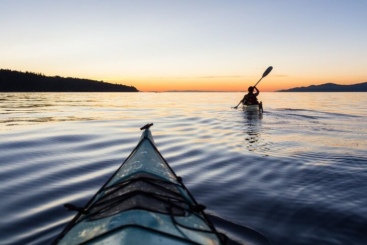 Kayak with penguins and Hike Cape of Good Hope