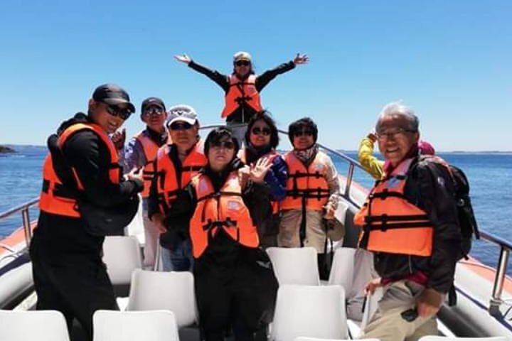 Chiloe Island - Puñihuil Tour