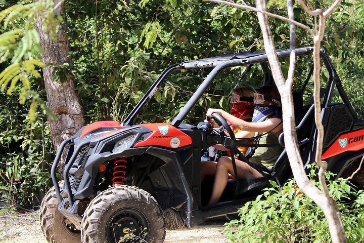 Jungle Buggy Day Tour