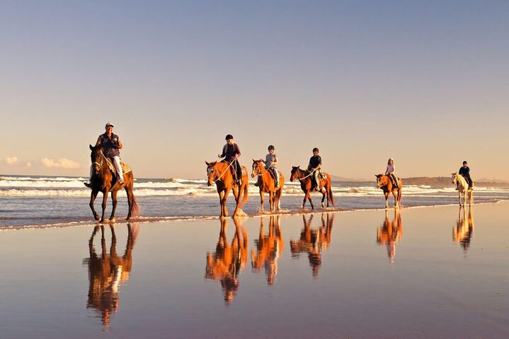 Beach Horse Ride - Hotel Pickup & drop-off included. CAPE TOWN