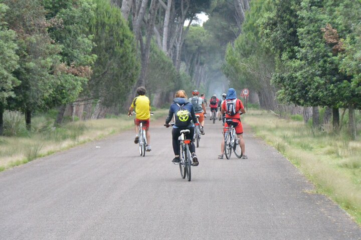 San Rossore Park: Self Guided Experience in Pisa