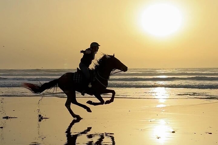 2 hours horseback ride gallop in Essaouira Beach,dunes and forest