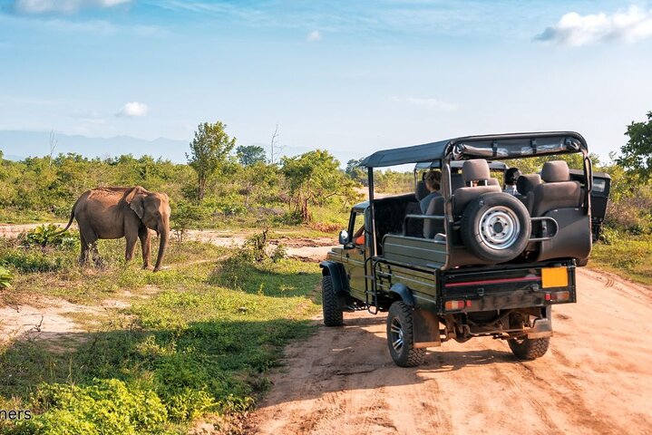 Aquila Game Reserve Safari Day Tour from Cape Town