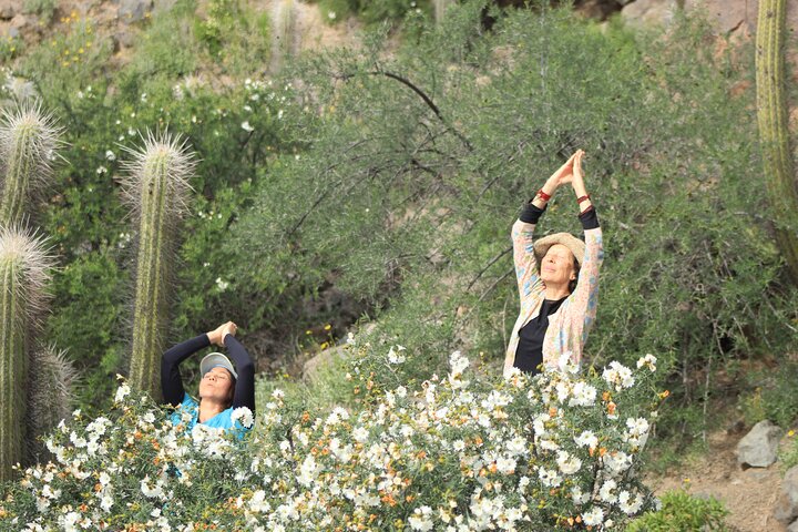 Elqui Valley Wellness Hike & Mountain Retreat, Chilean Andes