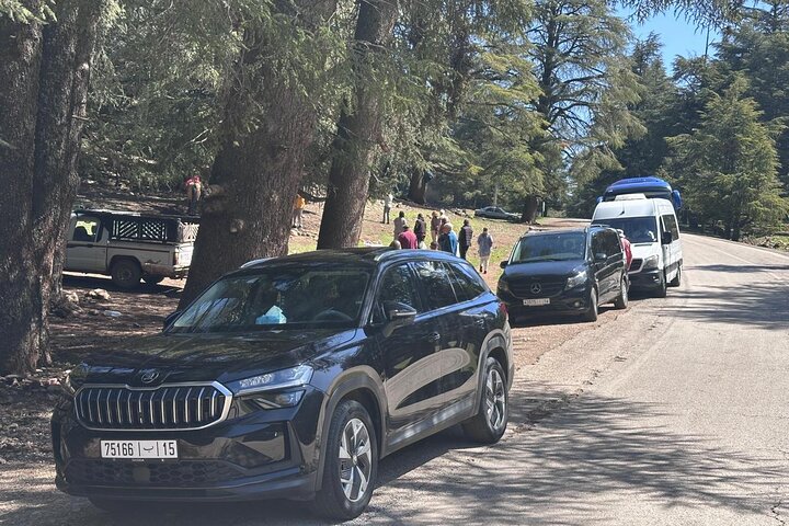 Private Day Trip to Middle Atlas from Fes