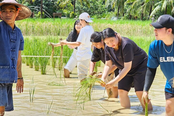 Old Phuket Farm Traditional Phuket Heritage Tour