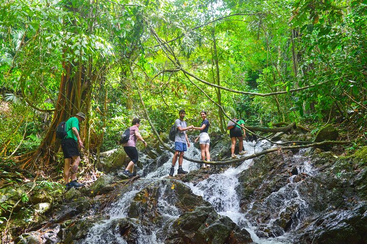 Phuket Khao Phra Taew National Park Jungle Trek and Waterfalls