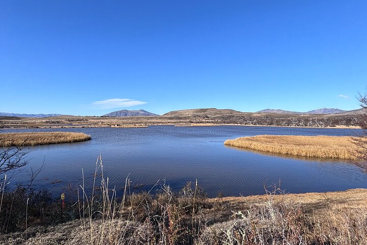 Bird Watching and Fauna in Chilean Patagonia Private Tour