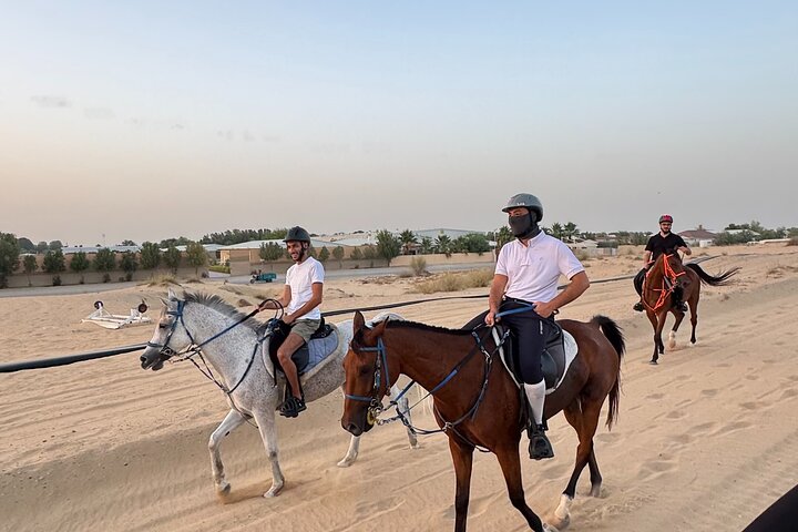 Desert and Beach Horse Ride Guided Adventure