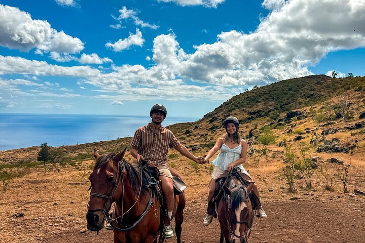 Sunshine Mountain Vista Horseback Trail Ride on Oahu